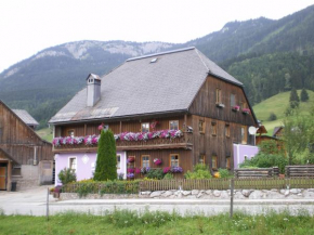 Ferienwohnung Andrea Bad Mitterndorf